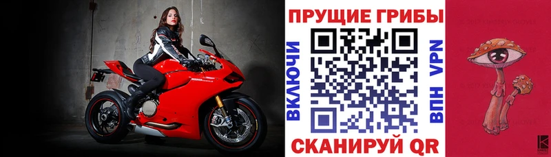 Псилоцибиновые грибы прущие грибы  Купить где  Новоуральск